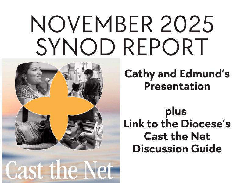Featured image for “Synod Update: November 23”